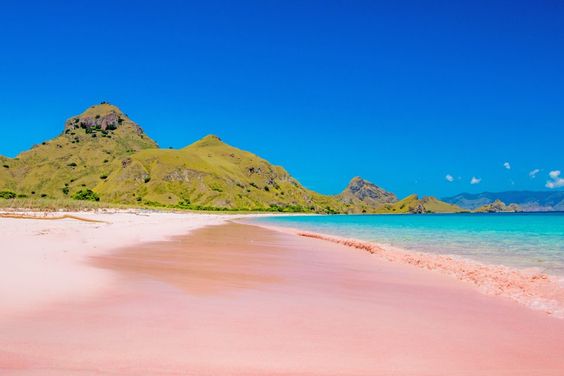 The most beautiful Pink Beach in East Lombok Indonesia: Pantai Tangsi ...