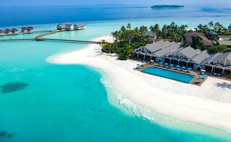 Hanifaru-Bay-Island-Maldives