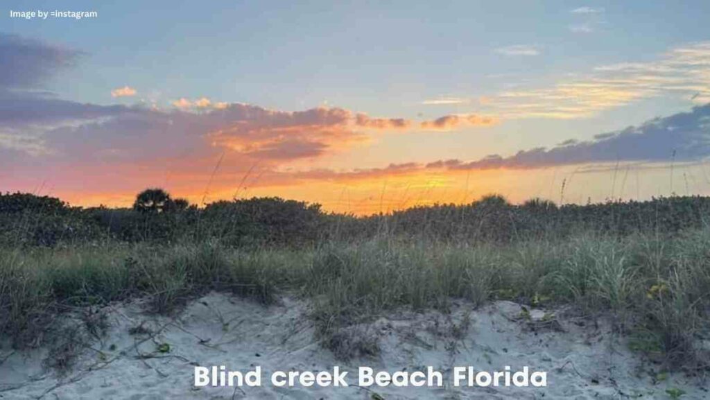 Blind Creek Beach Florida Photos And Reviews September 2024