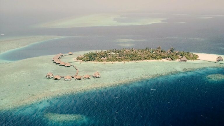 Banana Reef -North Male Atoll | Best Diving Place in Maldives ...