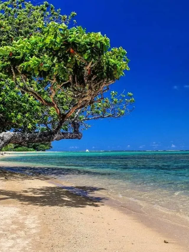 Anini Beach (Kauai) | Best Family Beach in Hawaii 2023 - Amazingworld