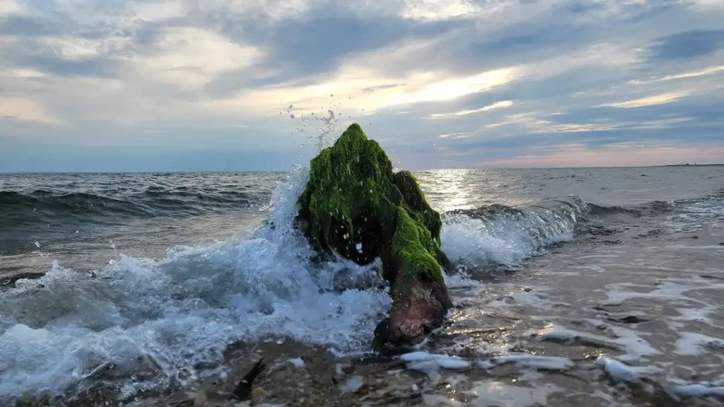 Herring-Cove-Beach