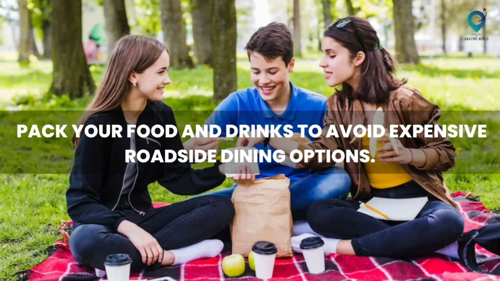 2. Pack your food and drinks to avoid expensive roadside dining options 1