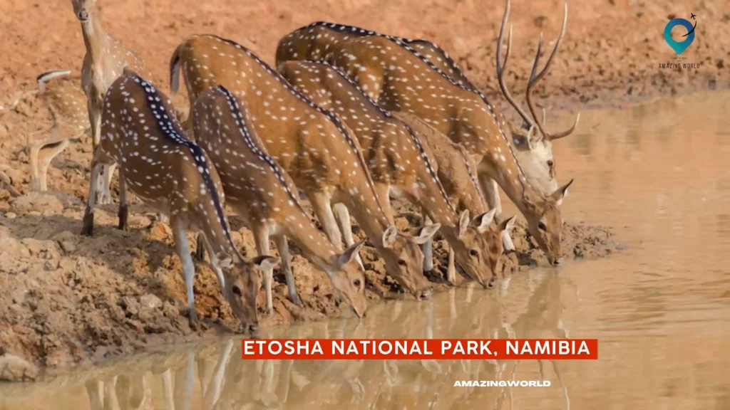 Etosha-National-Park