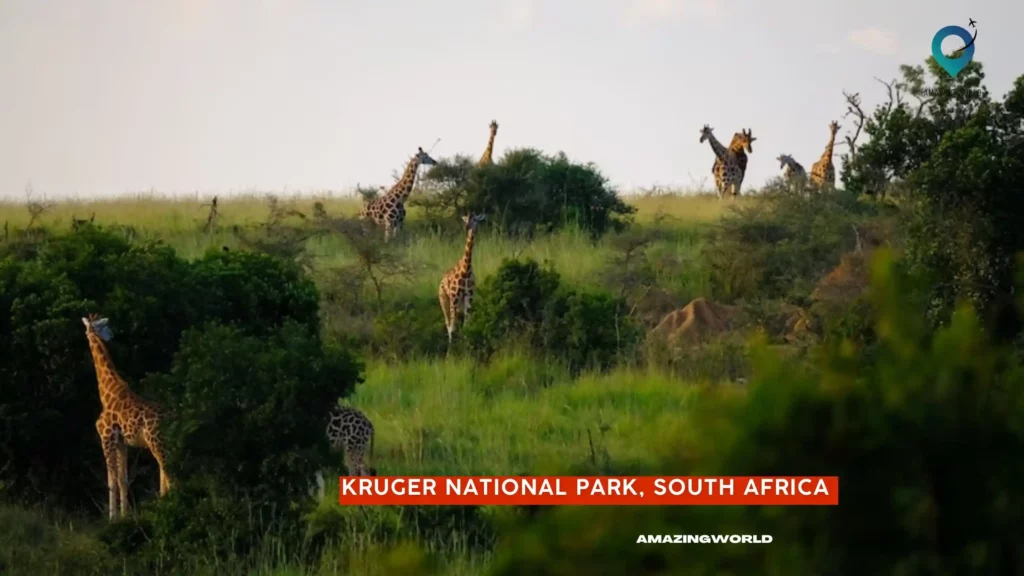 Kruger-National-Park