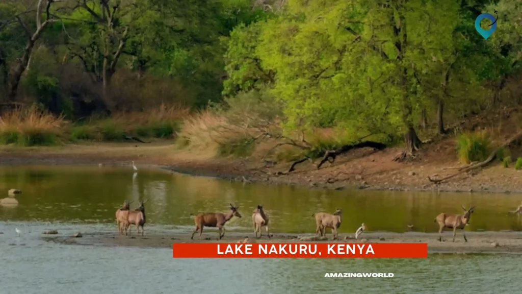 Lake-Nakuru-Kenya