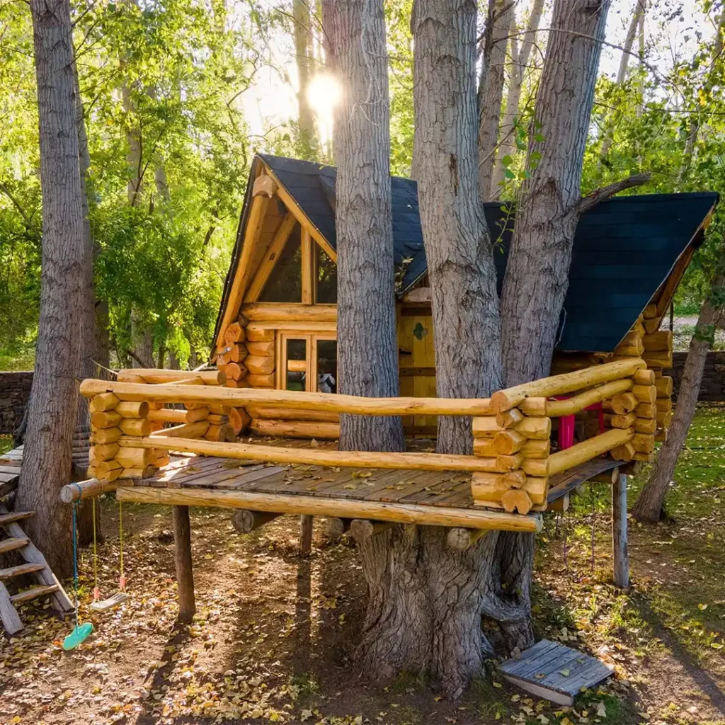 Treehouse-Museum