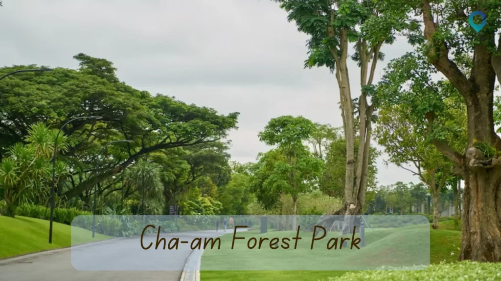 Cha-am Forest Park