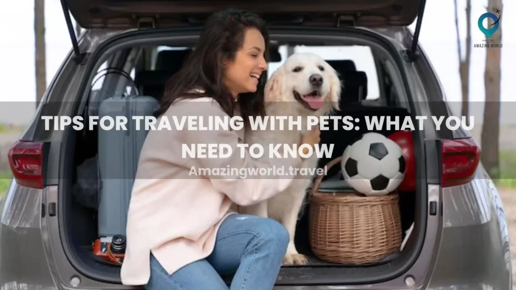 The Complete Guide To Traveling With Pets - Amazingworld