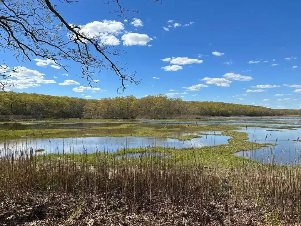 Rocky Neck State Beach and Park