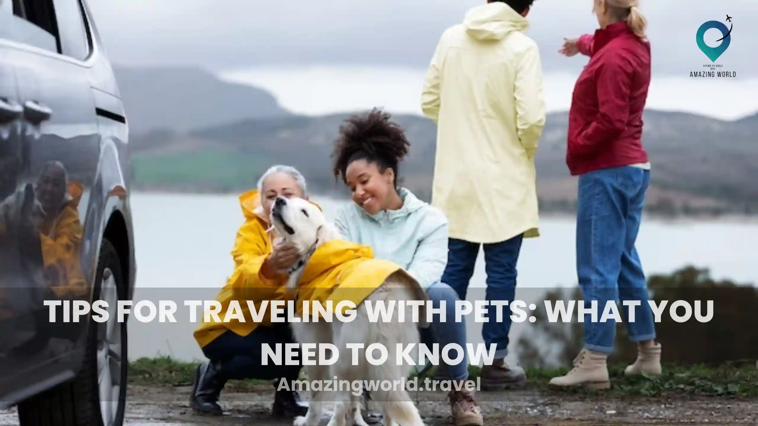 traveling-with-pets