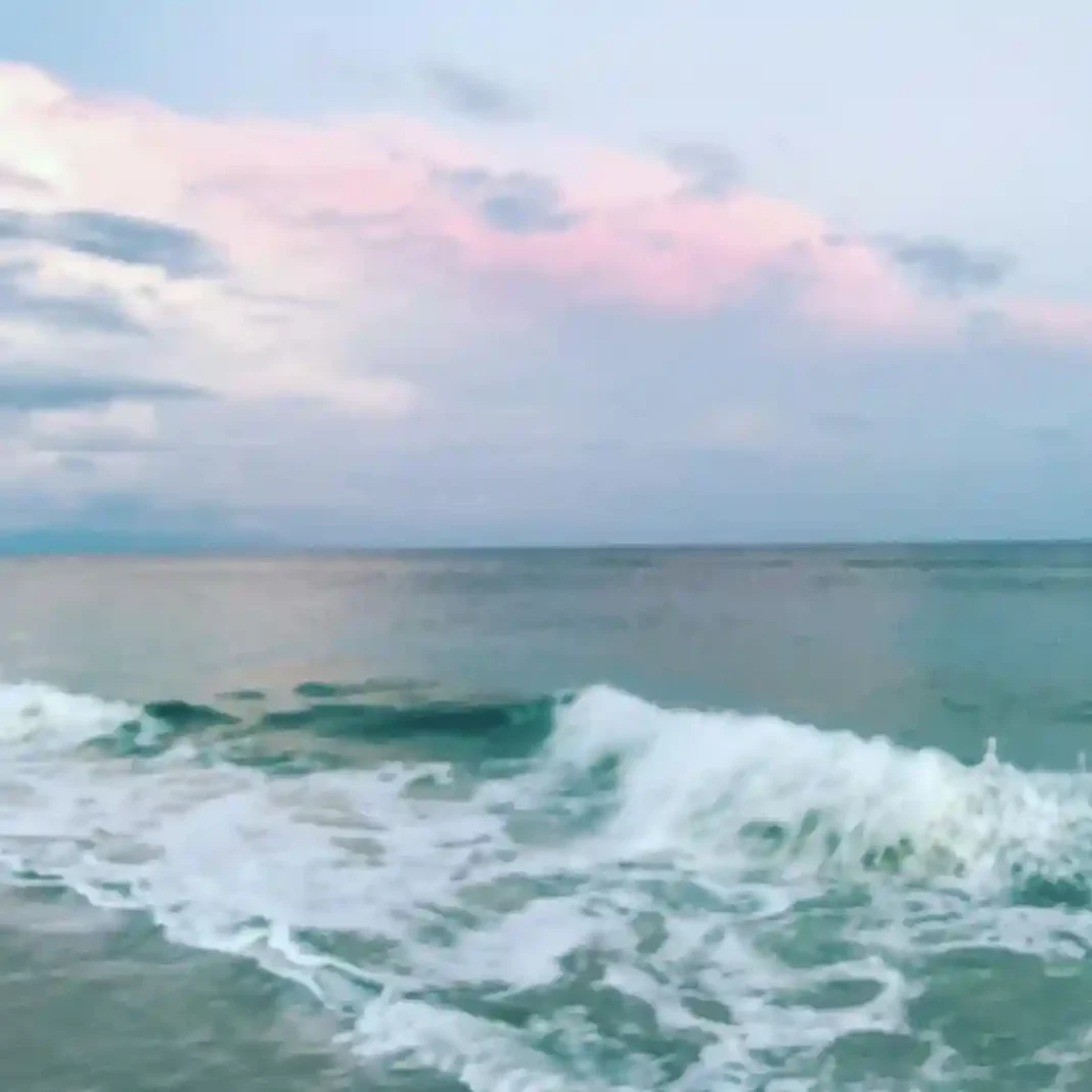 Johnson-Beach