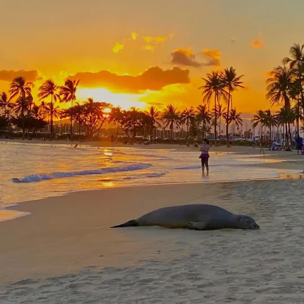 Kahanamoku-Beach