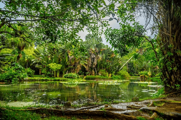 Nong-Nooch-Tropical-Garden