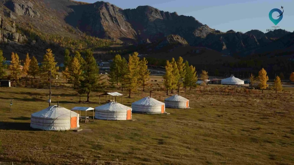 Yurt-Camping