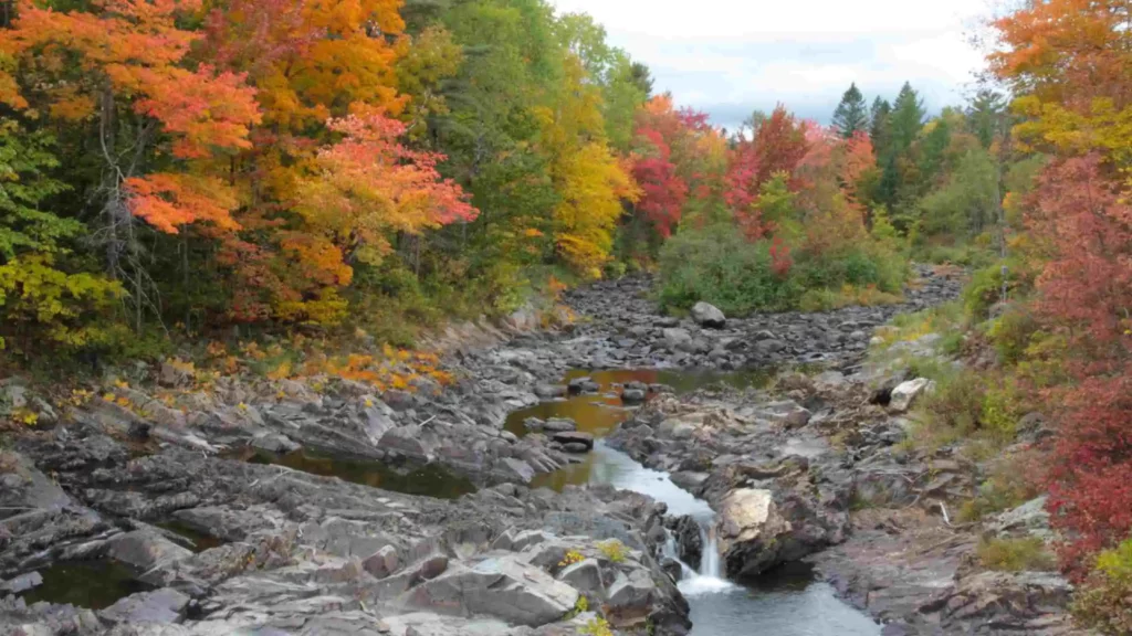 Moosehead-Lake