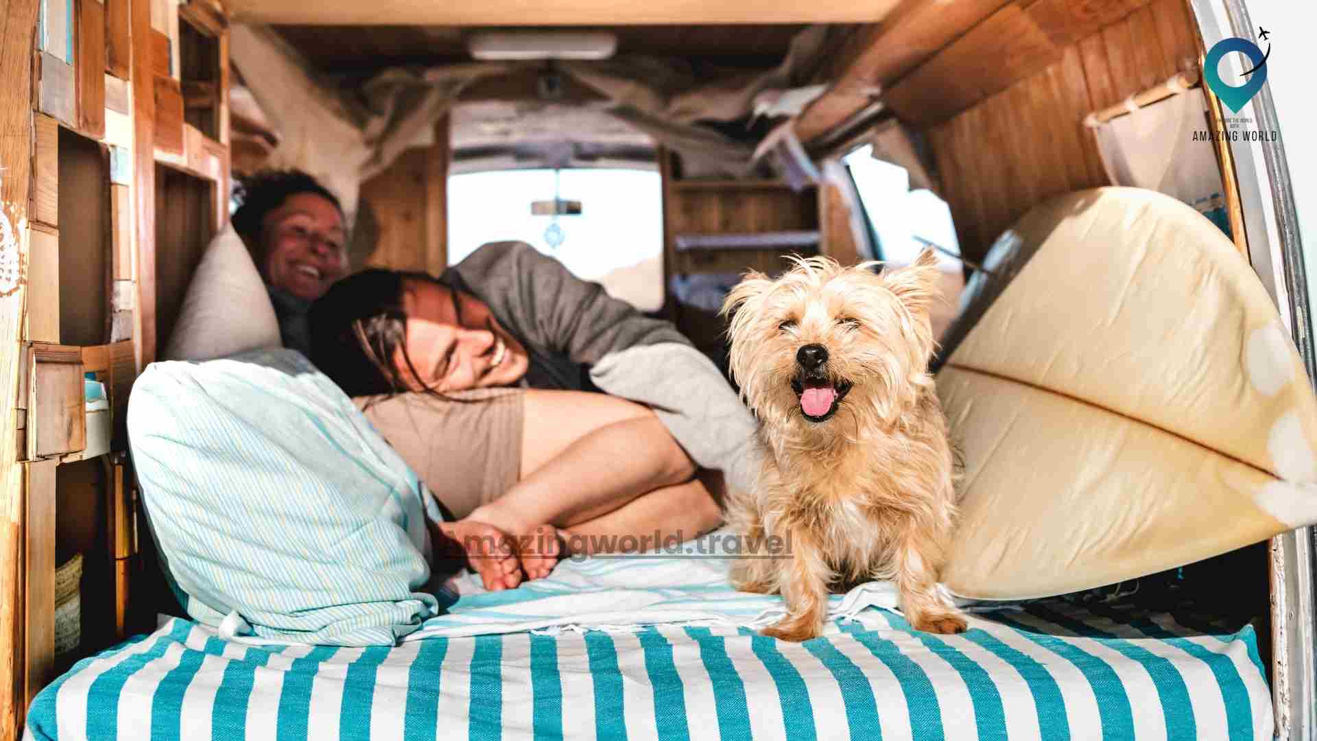 Travel-With-Pets