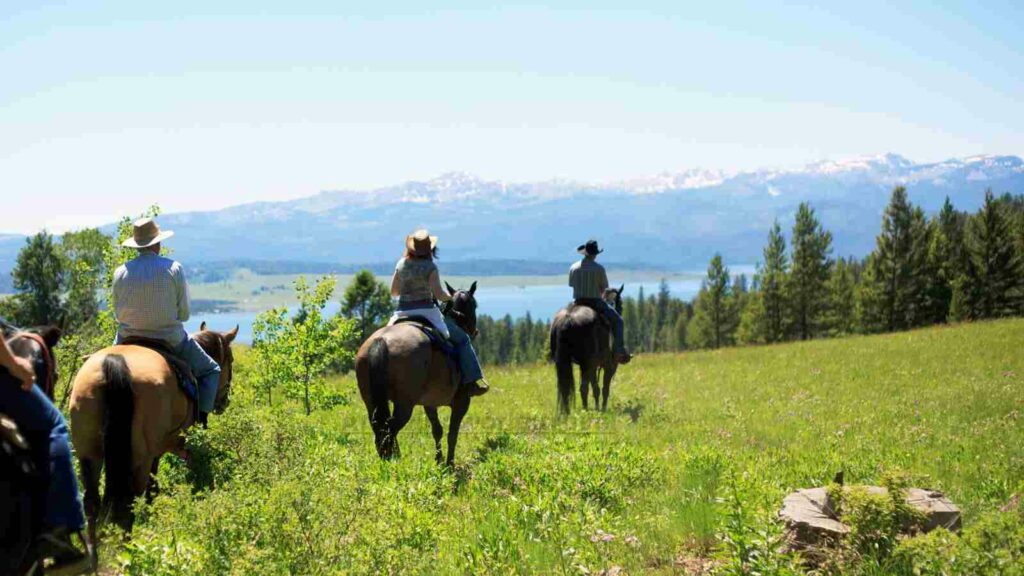 Horseback-Riding