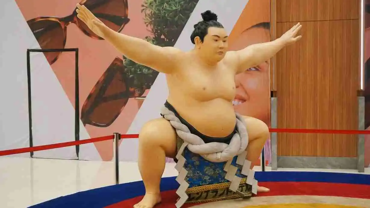 Sumo Tournaments
