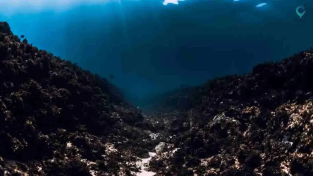 Poseidon Undersea Resort, Fiji