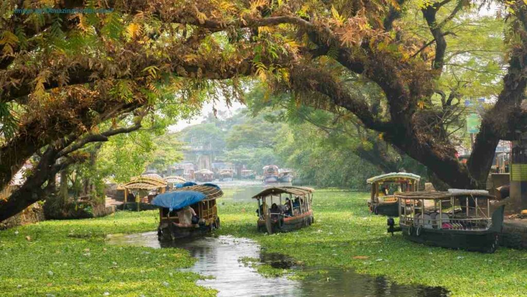 Alleppey