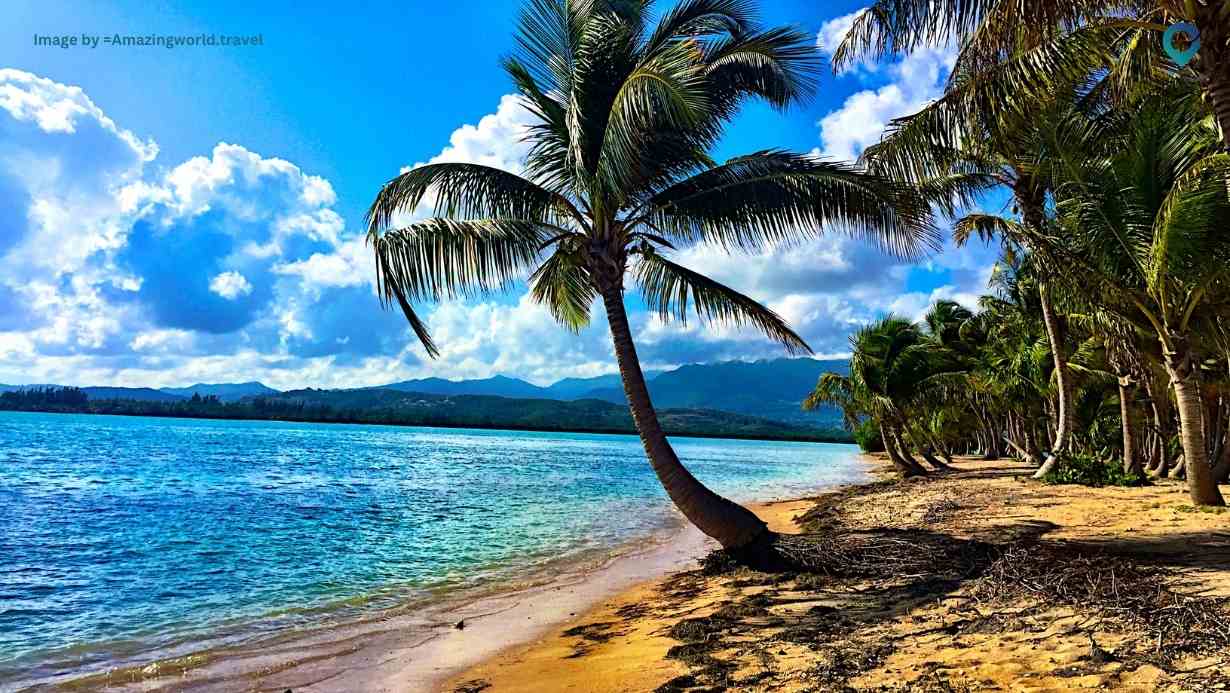 Dominican Republic vs Puerto Rico beaches — which has better beaches? 