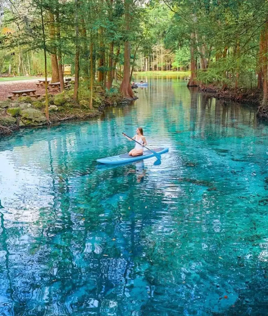 Ginnie-Springs