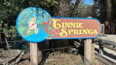 Ginnie Springs