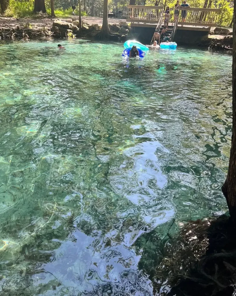 Ginnie Springs 5