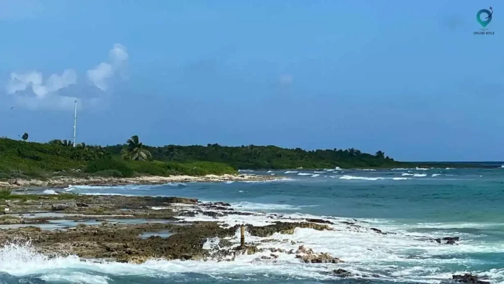 Costa-Maya