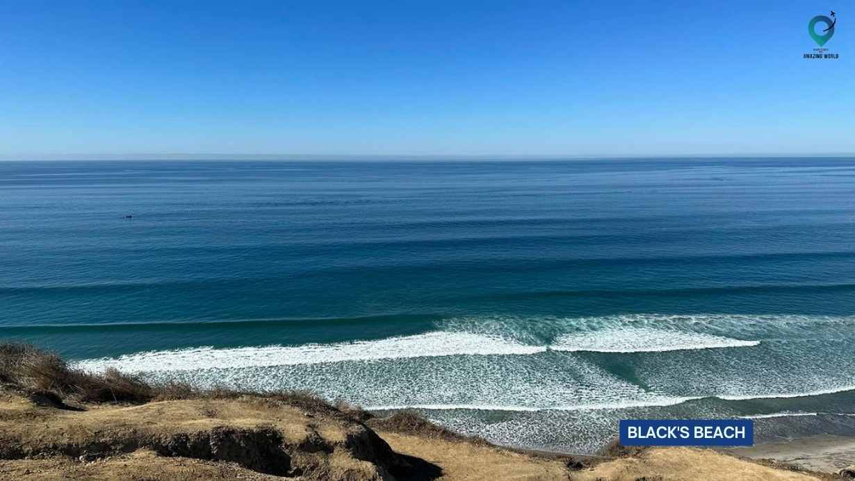 Black's Beach: Everything About Largest Nude Beach in San Diego, CA ...