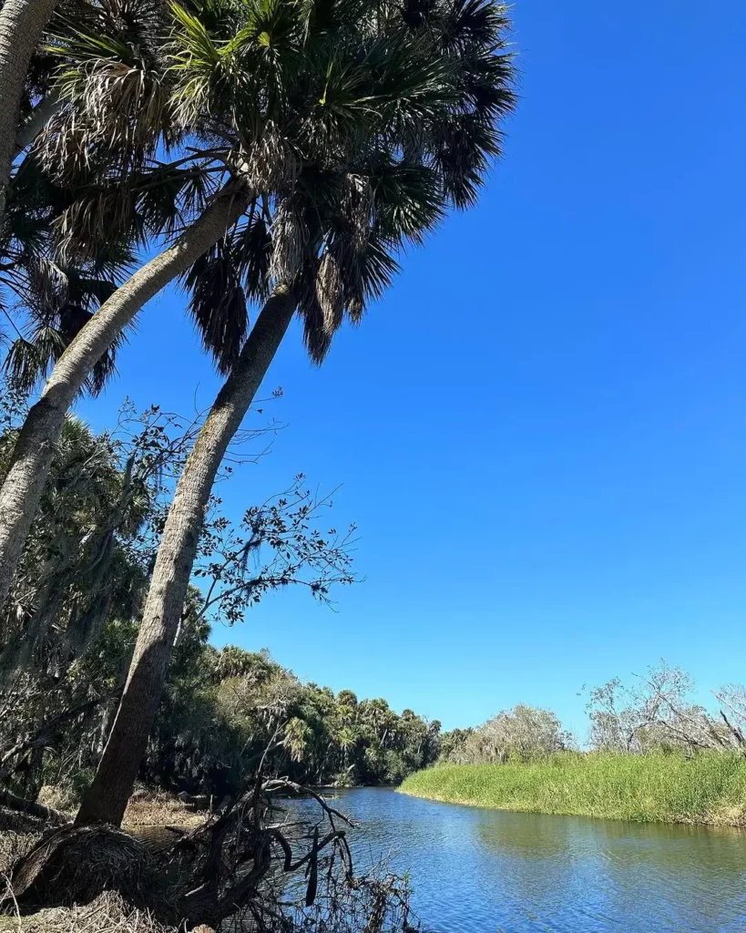 Myakka-River-Park