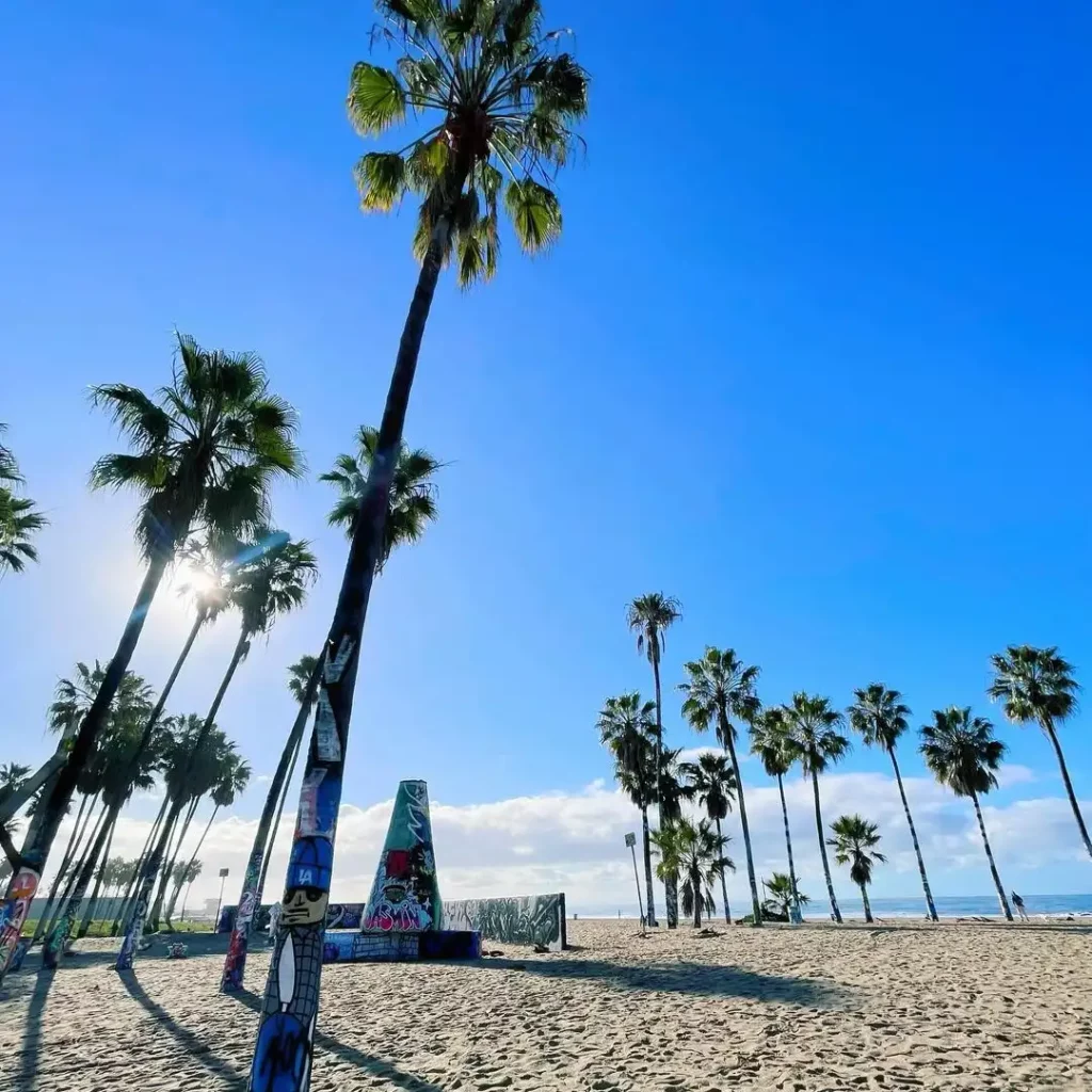 Venice-Beach