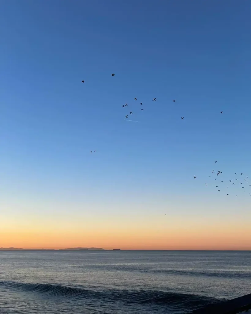 Venice-Beach