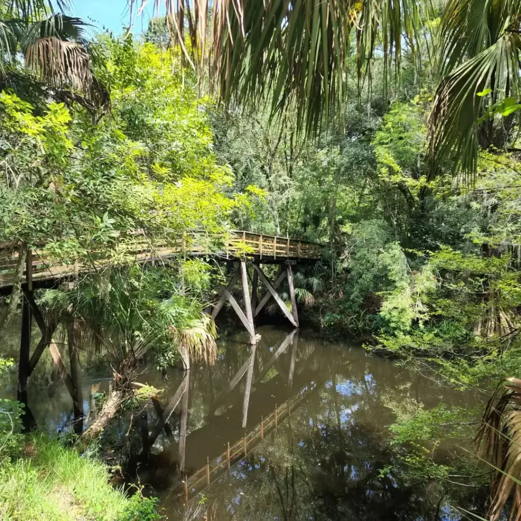 Hillsborough-River-State-Park