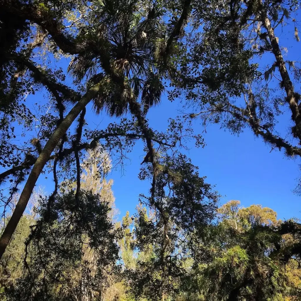 Hillsborough-River-State-Park