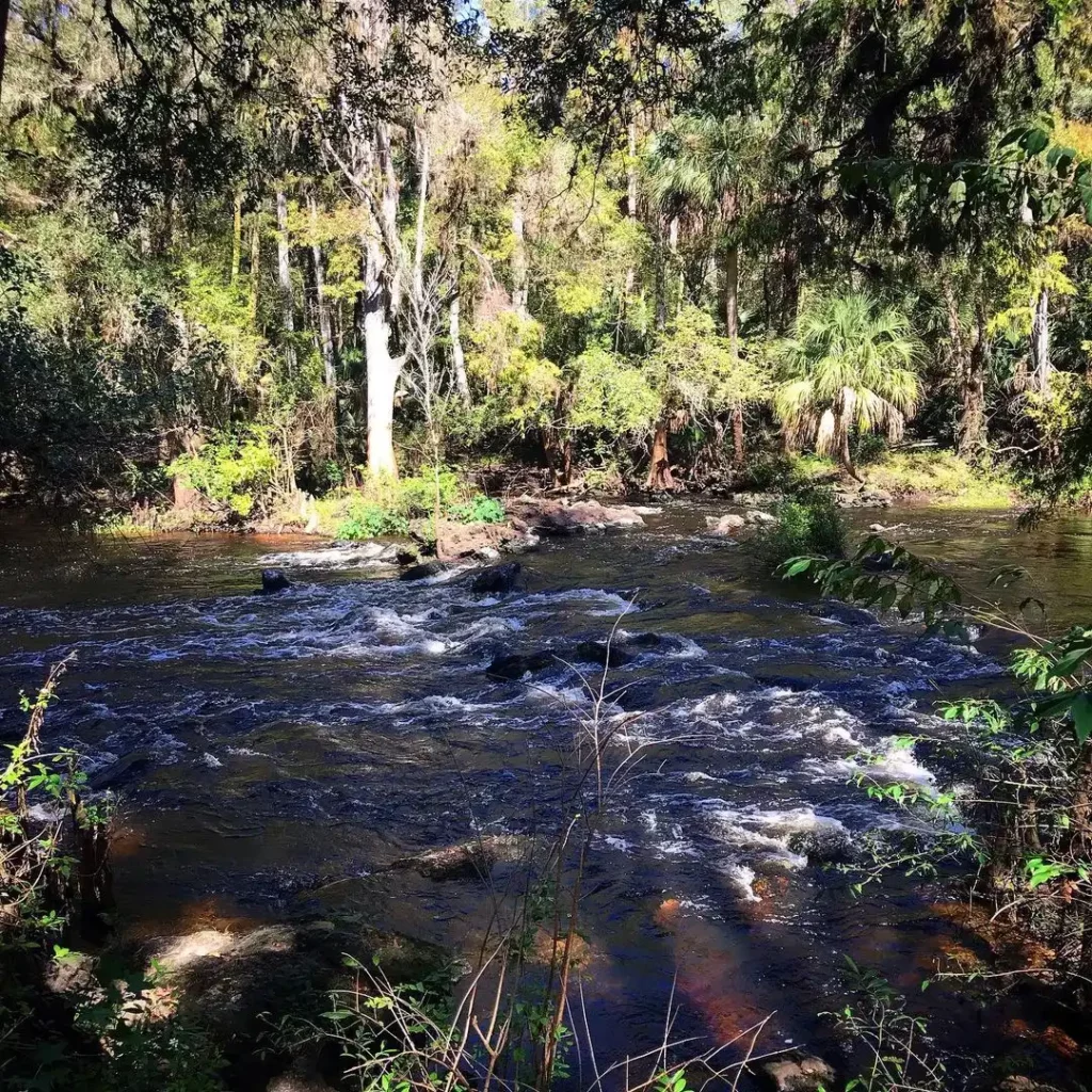 Hillsborough-River-State-Park