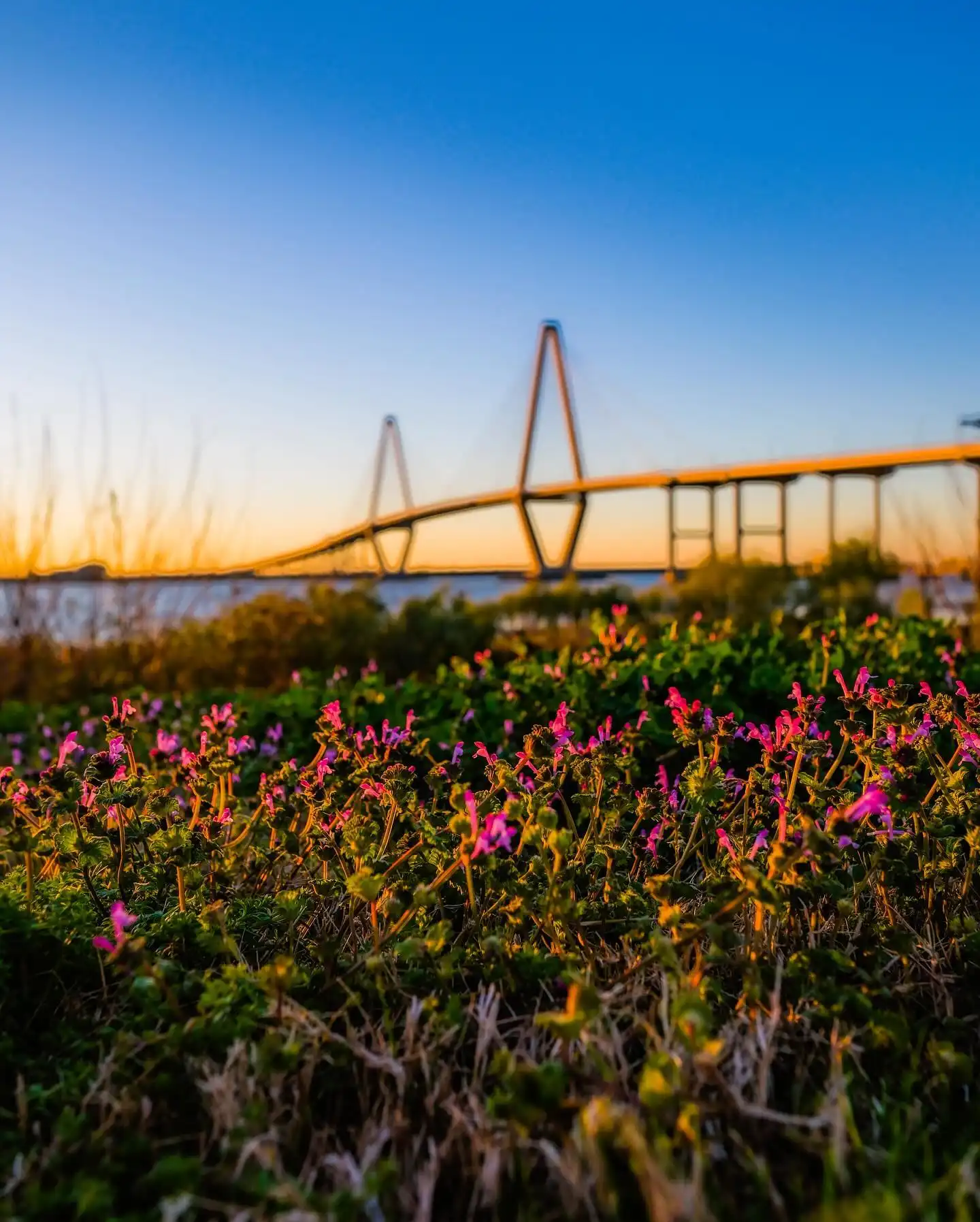 South-Carolina