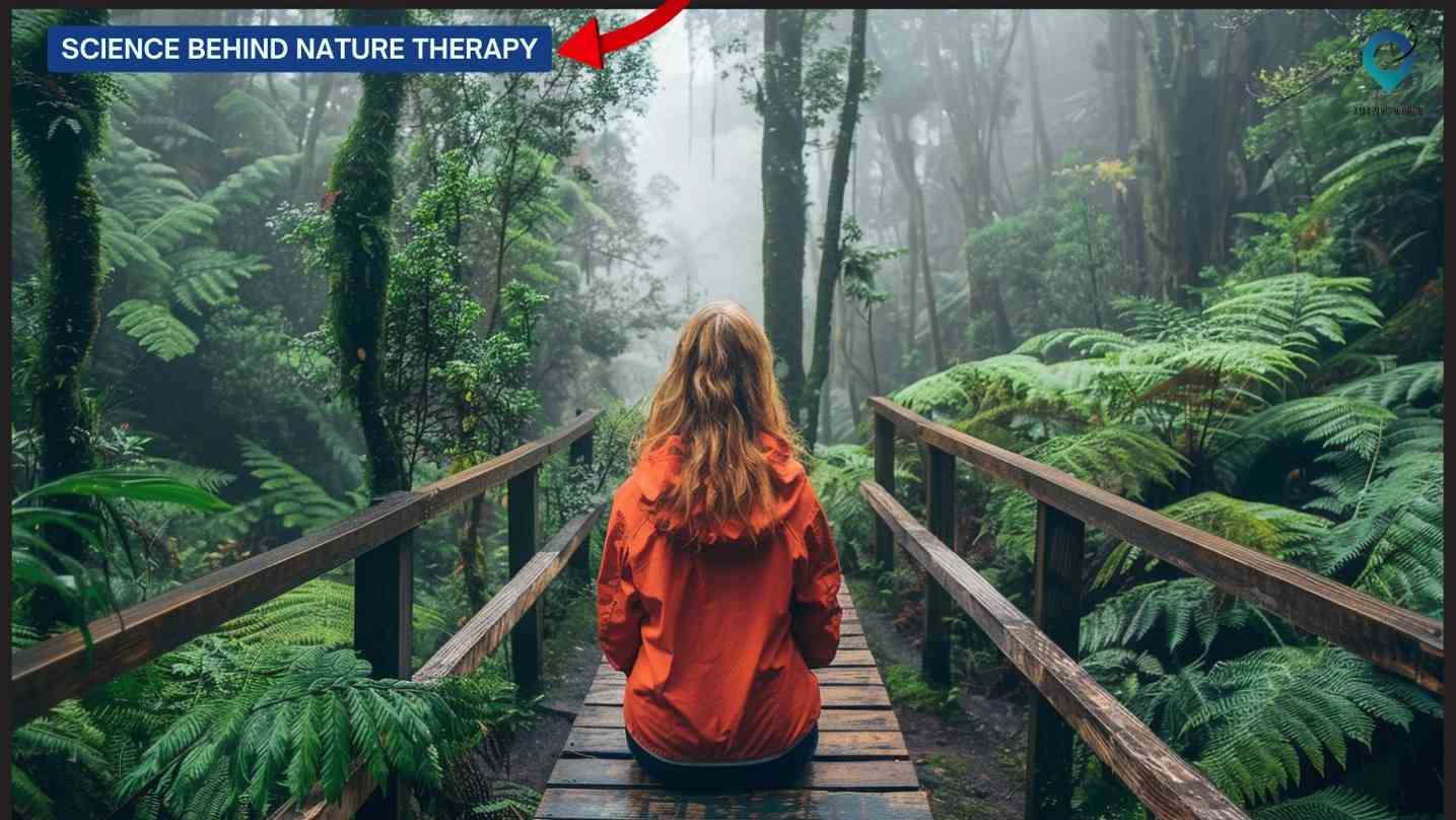 Science Behind Nature Therapy