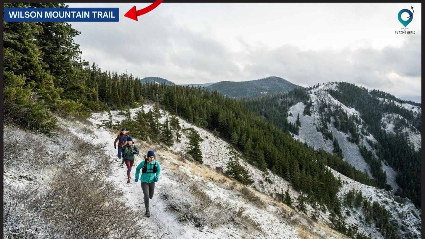 Wilson Mountain Trail
