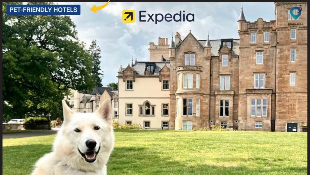 15 Best Pet Friendly Hotels in the UK With Free Cancellation Expedia 1