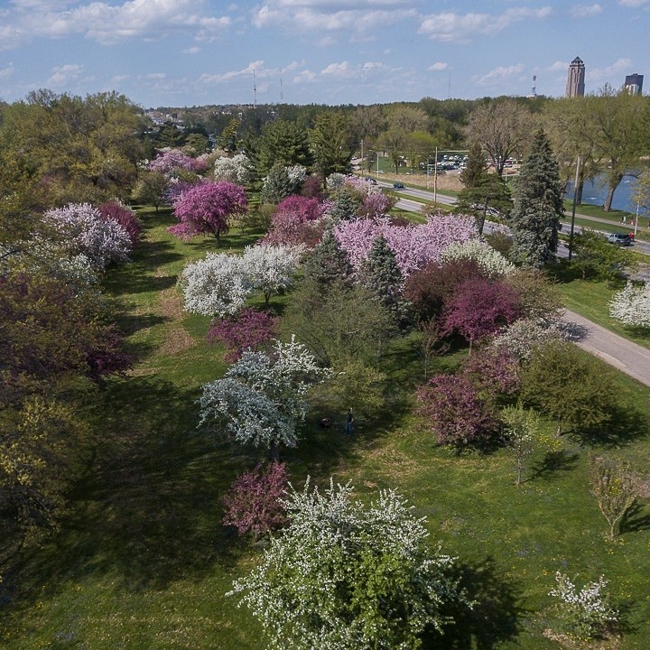 Water Works Park