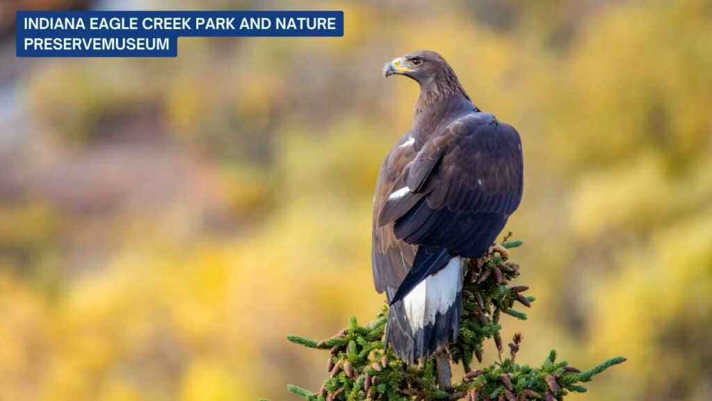 Eagle Creek Park and Nature Preserve