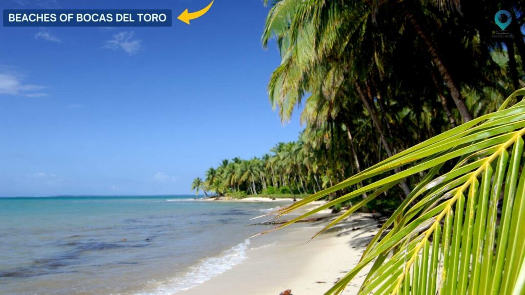 Beaches of Bocas del Toro