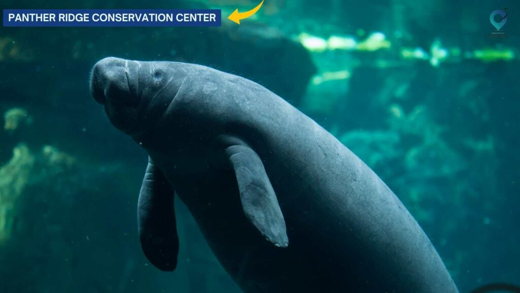 Manatee Lagoon