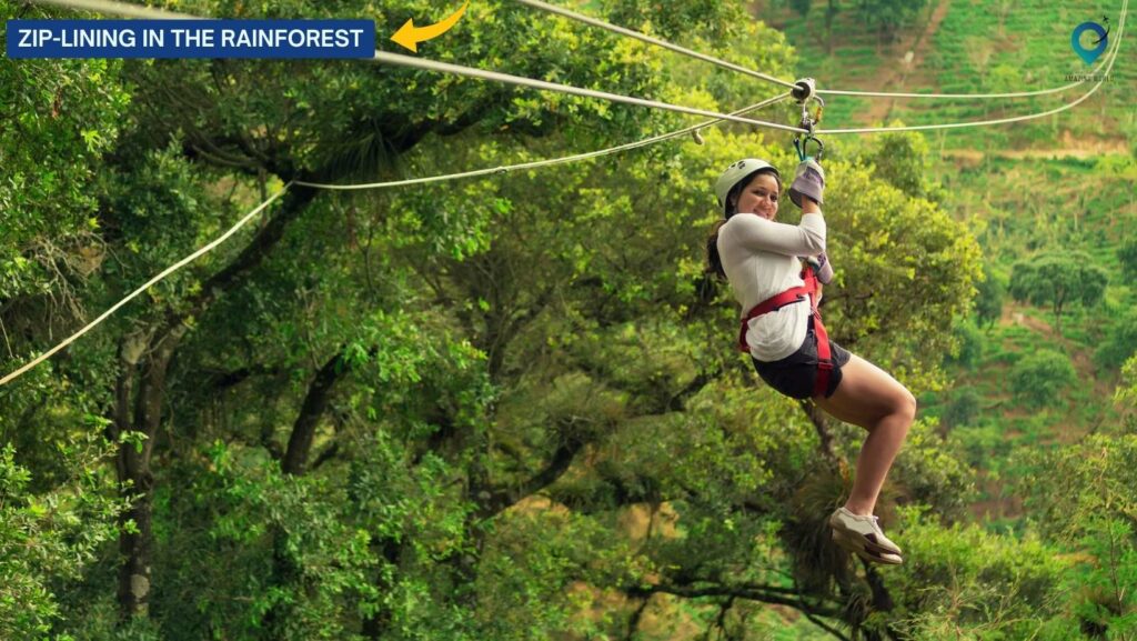 Zip-lining in the Rainforest