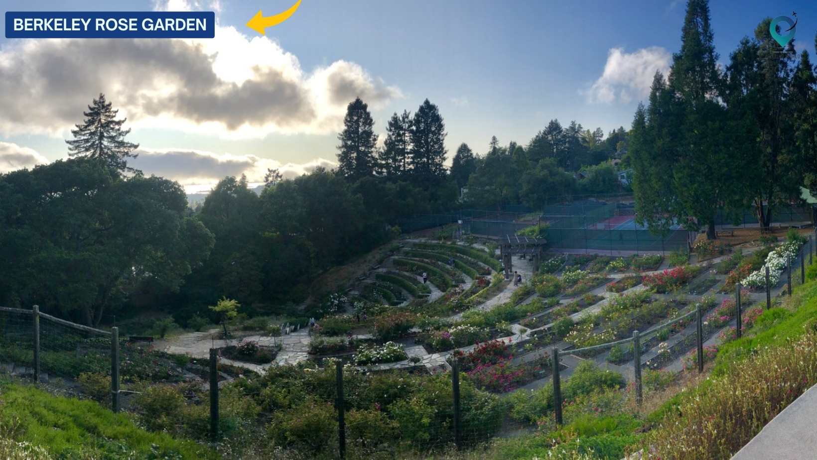 Berkeley Rose Garden