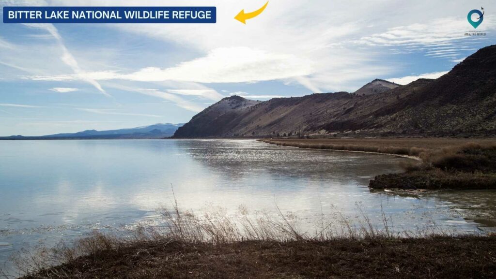 Bitter Lake National Wildlife Refuge