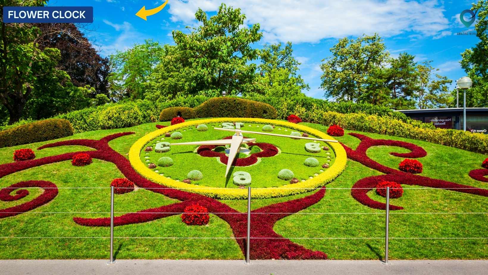 Flower Clock