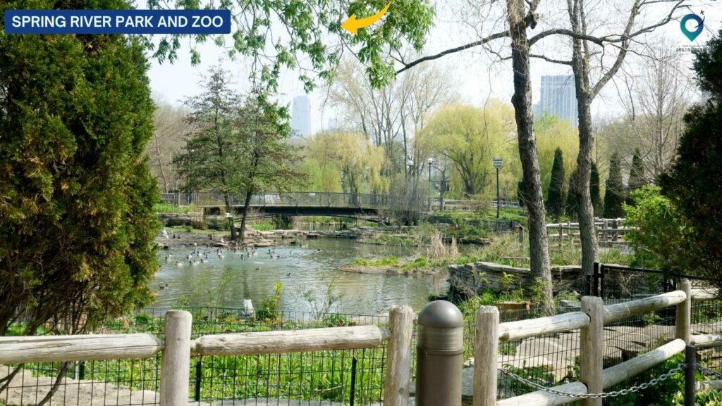 Spring River Park and Zoo